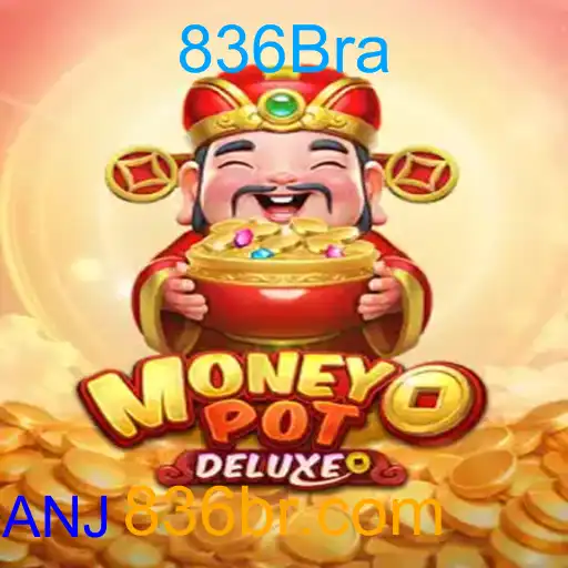 MoneyPotDELUXE